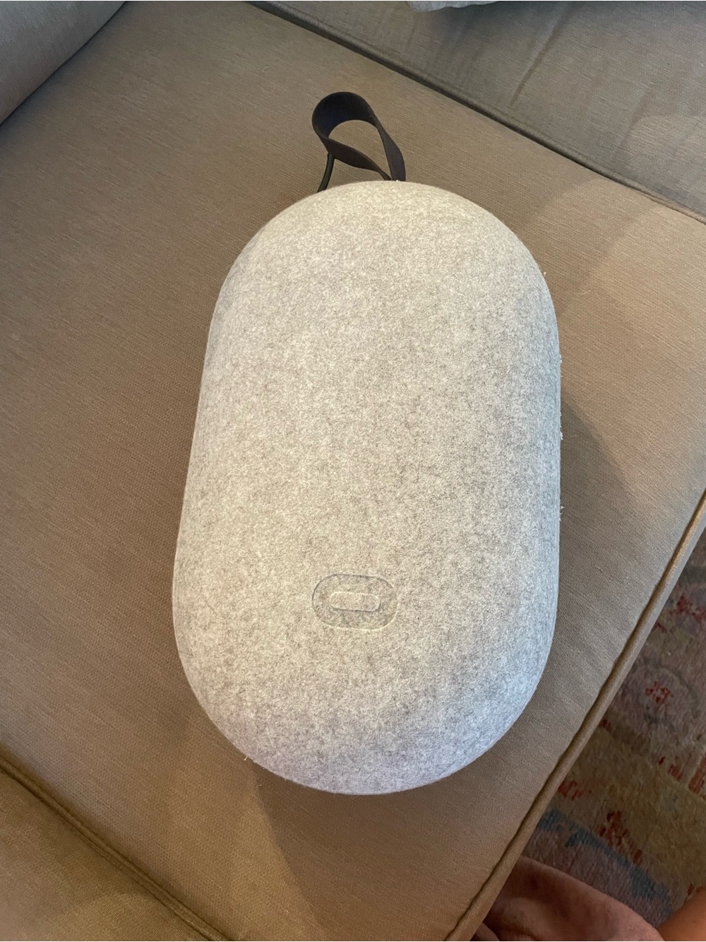 Oculus in Felt Travel Case